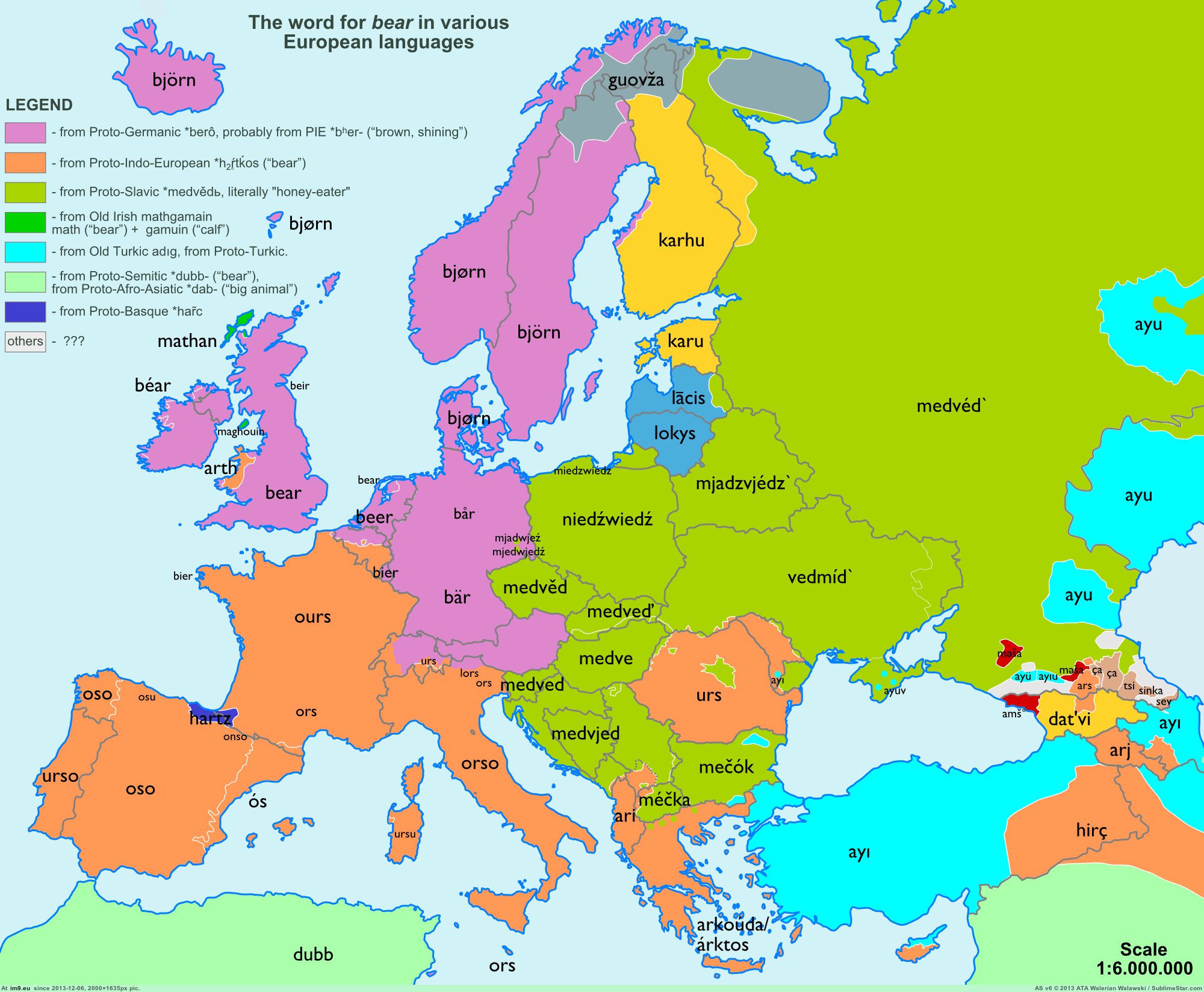 bear-etymology-map-in-europe-2000-1635