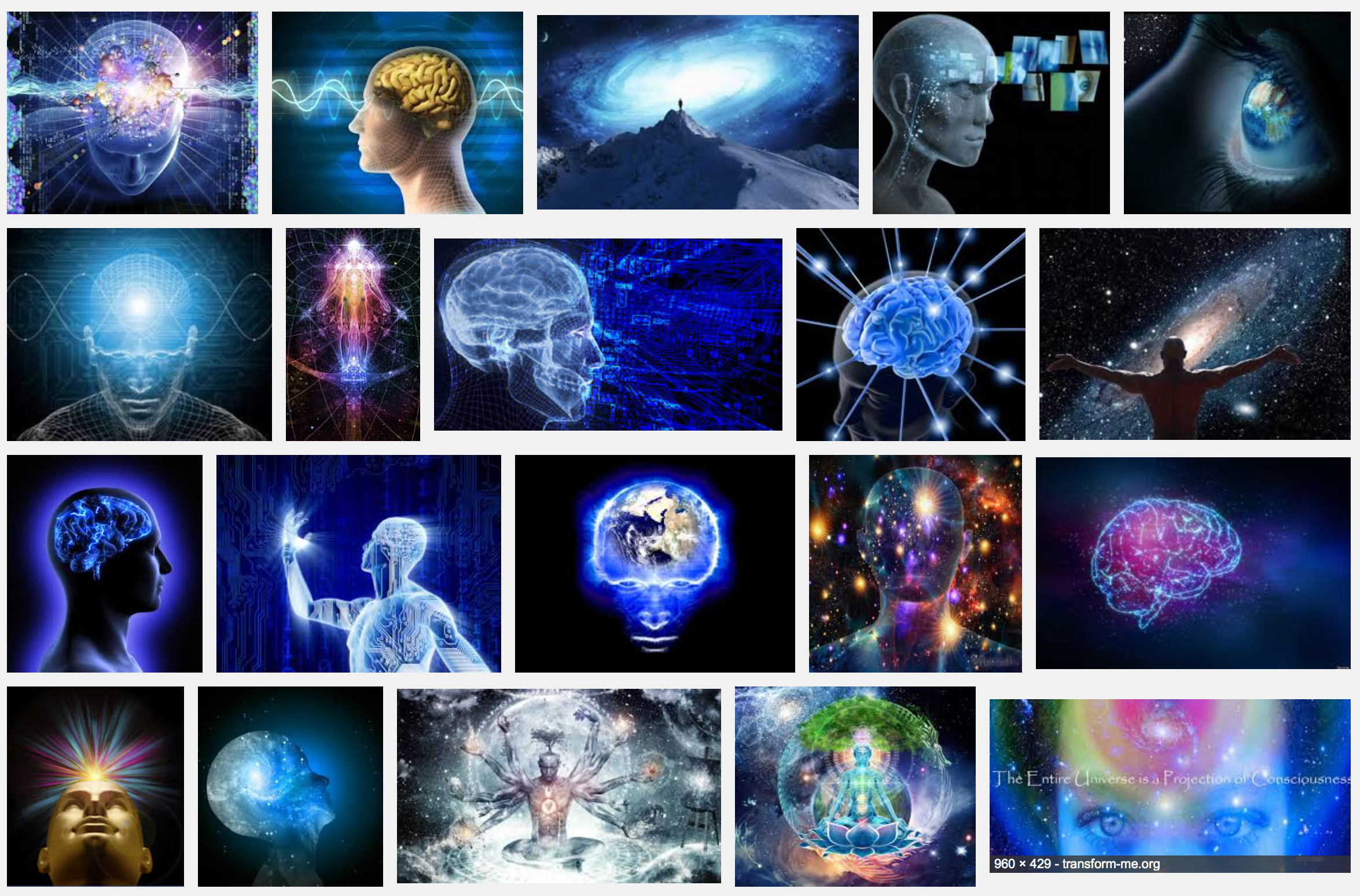 Google-search-consciousness