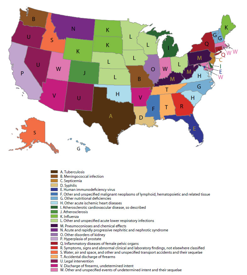 distinctive-causes-of-death-by-state