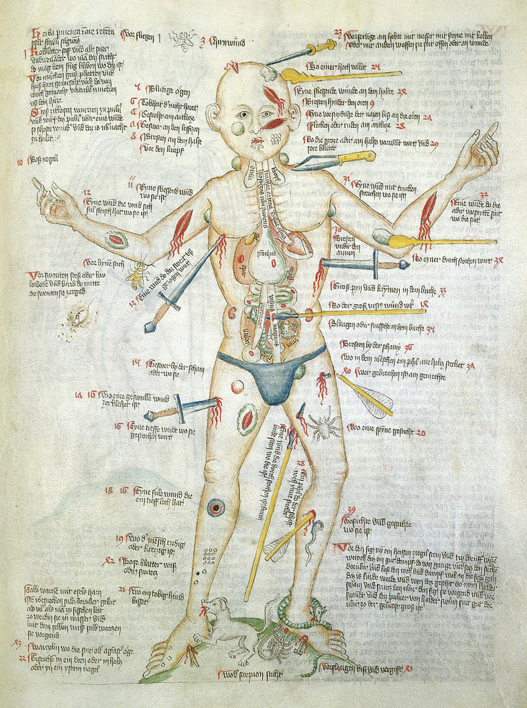 wound-man-wellcome-library-ms-49